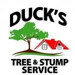 Duck's Tree and Stump Service
