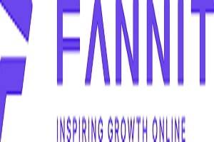 Detroit SEO Company FANNIT