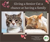  Angel Oaks Pet Crematory
