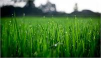  Green Master  Inc.