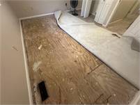  Ed's Carpet  Repair
